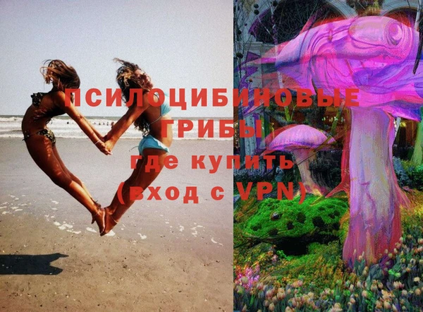 гидра Бронницы
