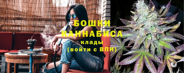 мет Бородино