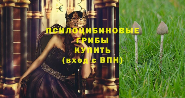 мет Бородино