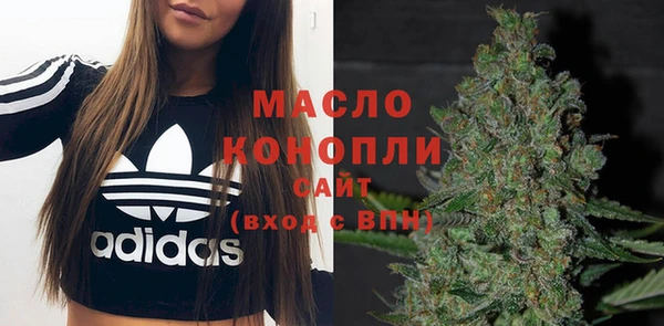 гидра Бронницы