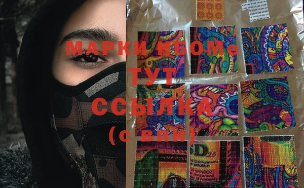 ECSTASY Богданович